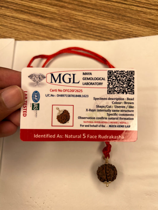 5 Mukhi Nepali Rudraksh- Paanch Mukhi With Lab Tested Certificate
