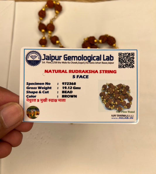 5 Mukhi Rudraksh Mala