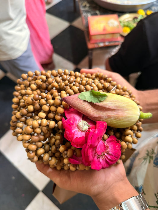 1080+1 Tulsi Beads Japa Mala Prasadi from Vrindavan Temple