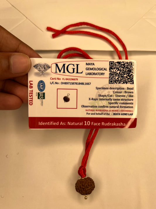 10 Mukhi Rudraksh - Nepali Rudraksh With Lab Tested Certificate