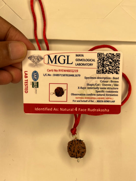 4 Mukhi Rudraksh With Lab Tested Certificate