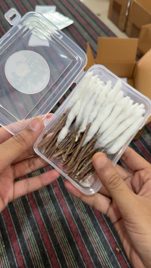 Hands holding an open box of tulsi stick wicks during packing