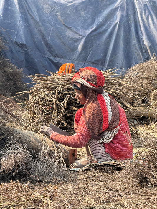 Brajwasi woman sorting dried tulsi stems outdoors before the wood is cut into beads