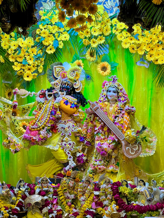 🌿 Why Vrindavan is Called the Land of Shri Radha-Krishna