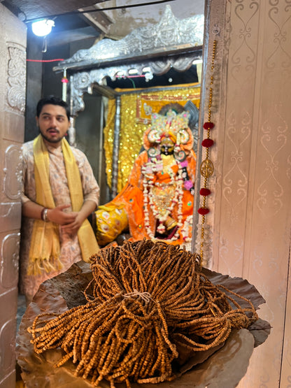 Prasadi Tulsi Kanthi Mala 🌸 2 Round Barik Kanthi Tulsi Mala