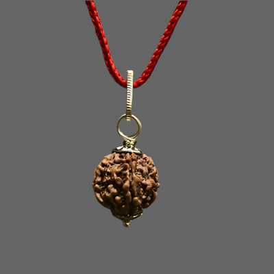 5 Mukhi Nepali Rudraksh – Lab Certified