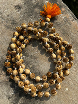 Shri Haridas Tulsi Beads 108+1 Japa Mala