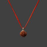 4 Mukhi Rudraksh With Lab Tested Certificate