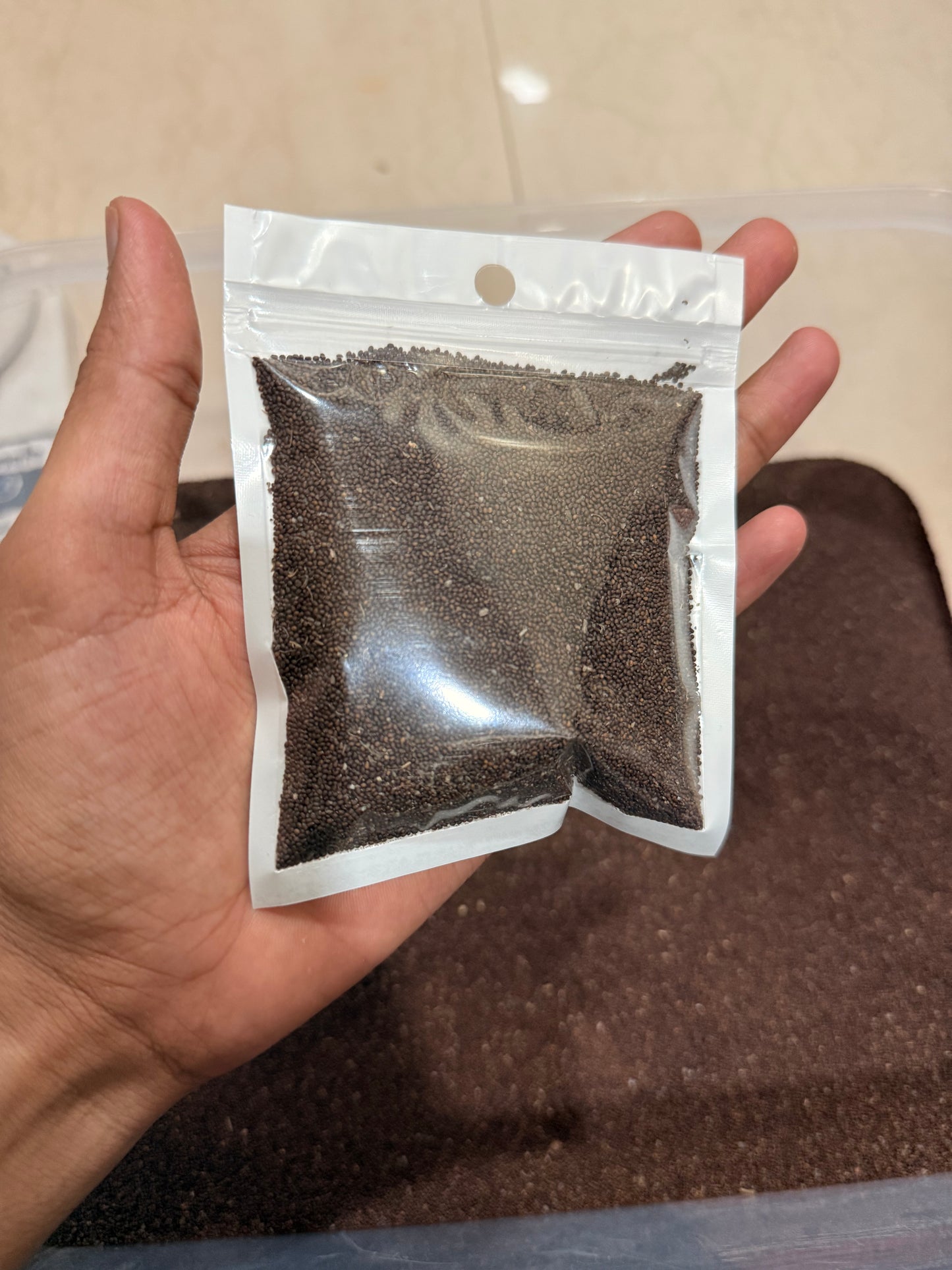 Authentic Vrindavan Holy Basil (Tulsi) Seeds - 100% Natural Pavitra Seeds for Spiritual Home Gardening