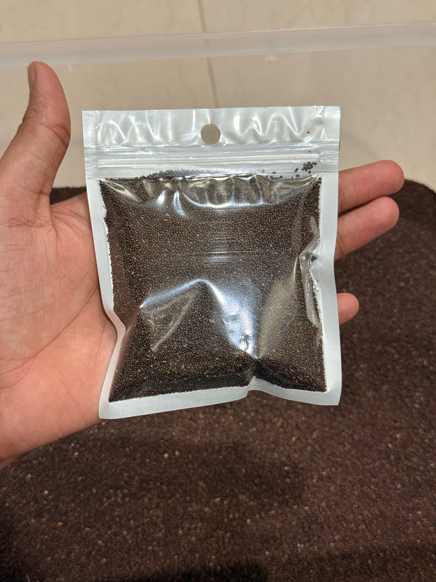 Authentic Vrindavan Holy Basil (Tulsi) Seeds - 100% Natural Pavitra Seeds for Spiritual Home Gardening