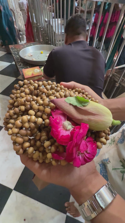 1080+1 Tulsi Beads Japa Mala Prasadi from Vrindavan Temple